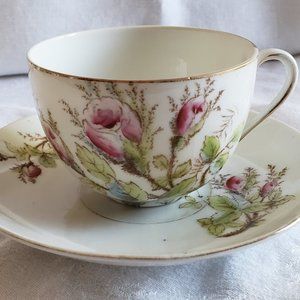 Vintage Victoria Austria Tea Cup and Saucer, gold trim